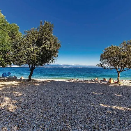 Beautiful In Apartment